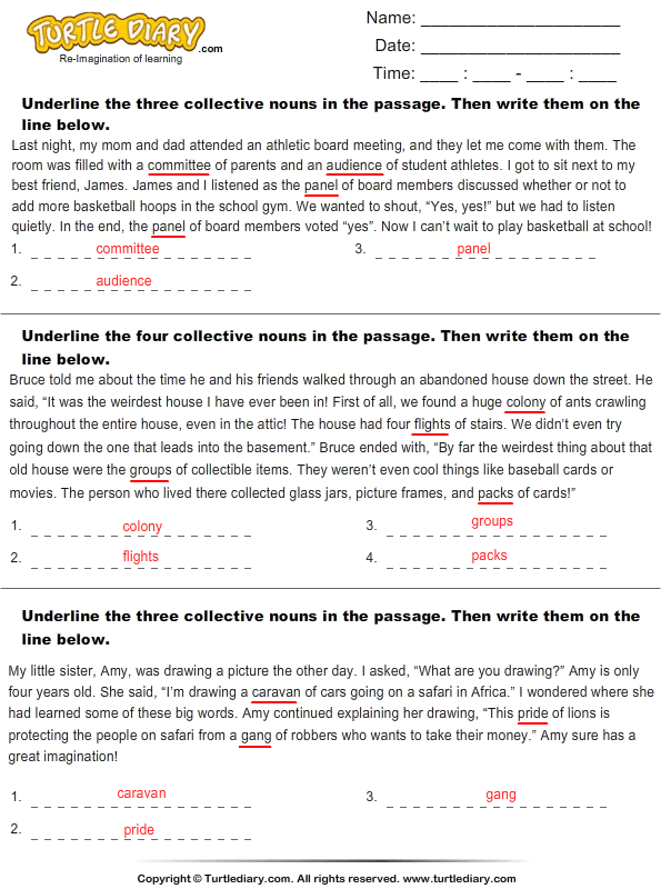 underline-the-collective-nouns-worksheet-turtle-diary
