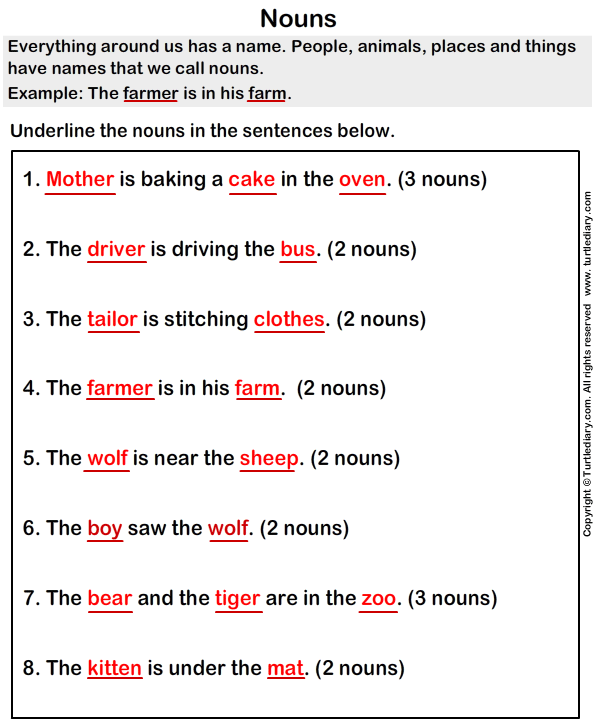 Circle The Nouns Worksheet With Answers