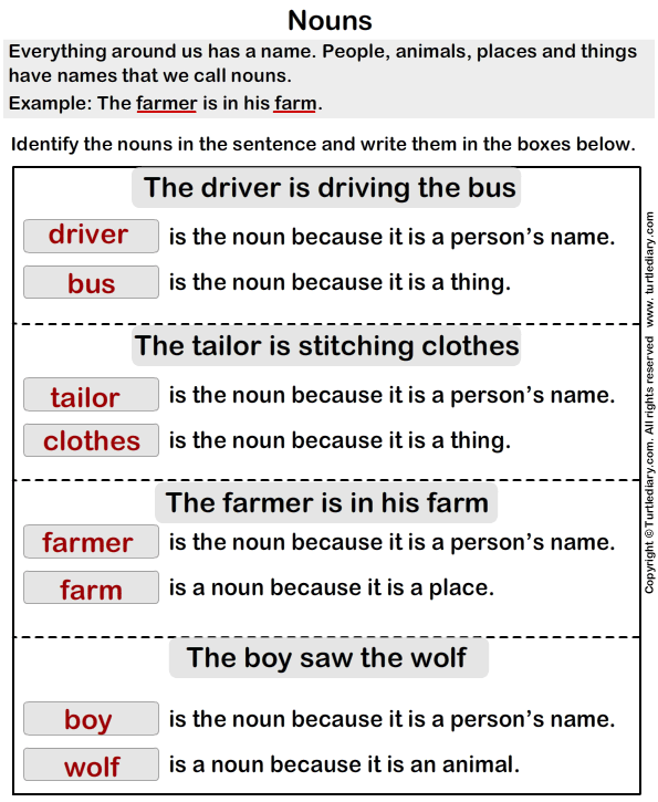 Noun Sentences For Class 1 With Answers English Class Worksheets Nouns