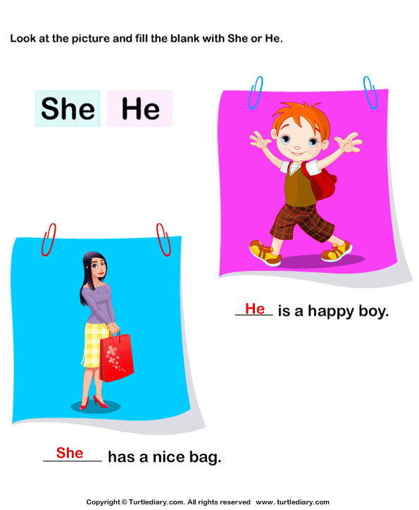 Use of She and He Worksheet - Turtle Diary