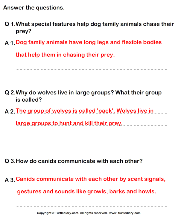 Wild Animal In The Dog Family Crossword Wild Members of the Dog Family Worksheet - Turtle Diary