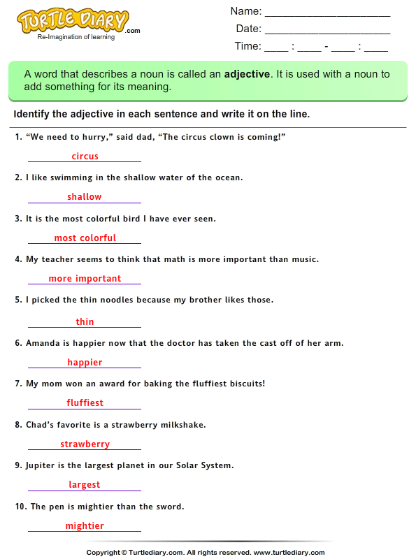 write adjectives used in each sentence worksheet turtle