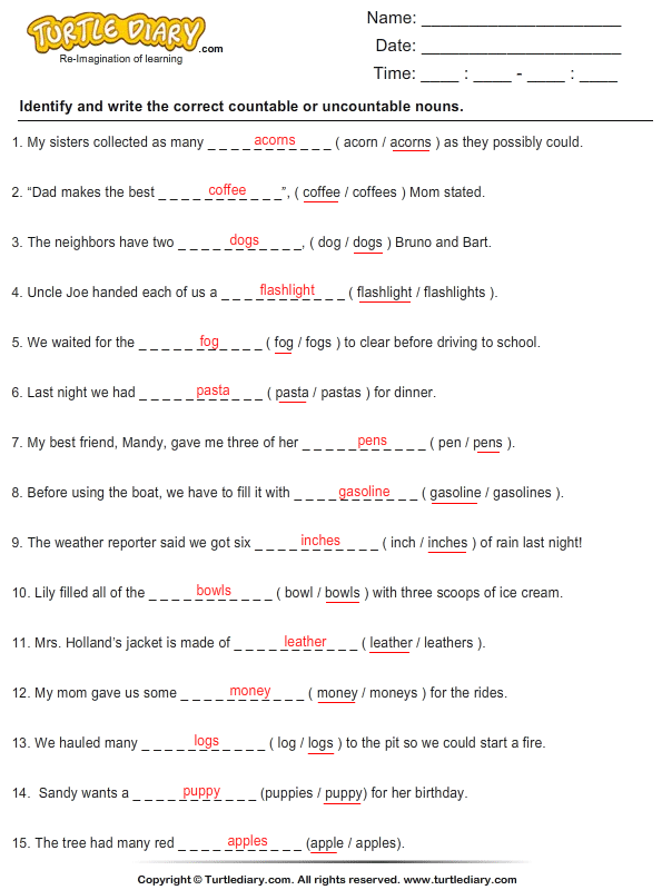 write countable or uncountable noun worksheet turtle diary