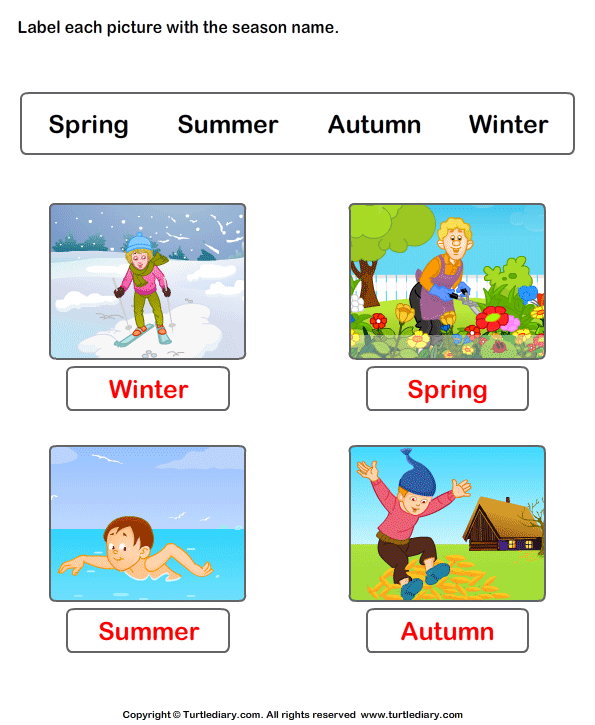 write-seasons-depicted-by-pictures-worksheet-turtle-diary