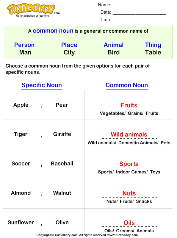 Write the Common Noun for Given Proper Noun Worksheet 