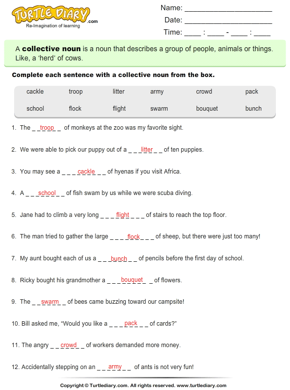write the correct collective noun worksheet turtle diary