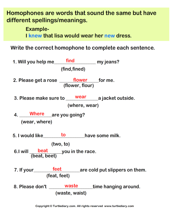 write the correct homophone in each sentence worksheet turtle diary