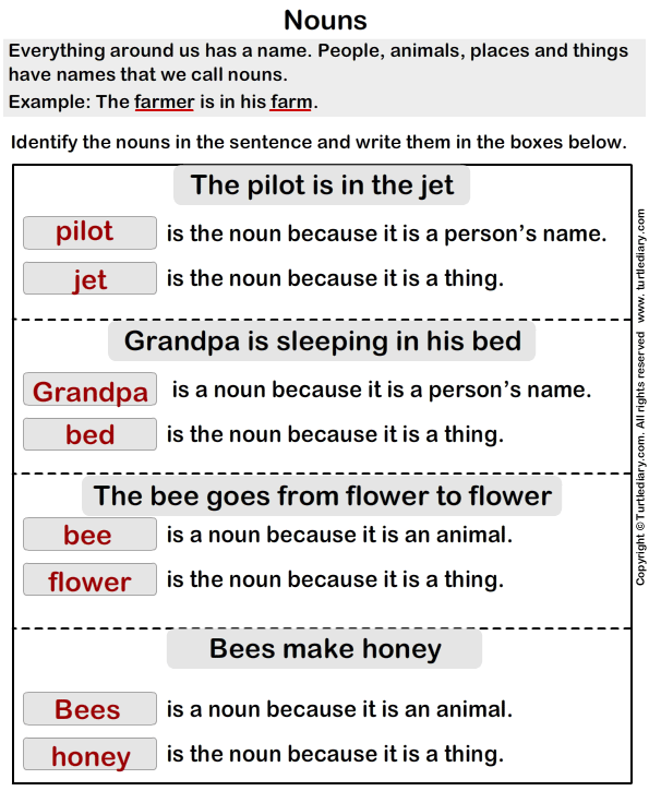 Write the Correct Noun Worksheet - Turtle Diary