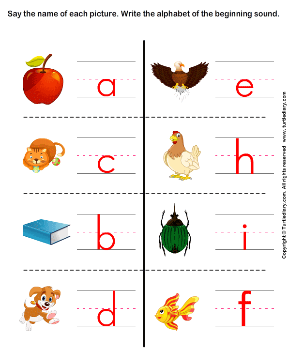 write the letter of beginning sound worksheet turtle diary
