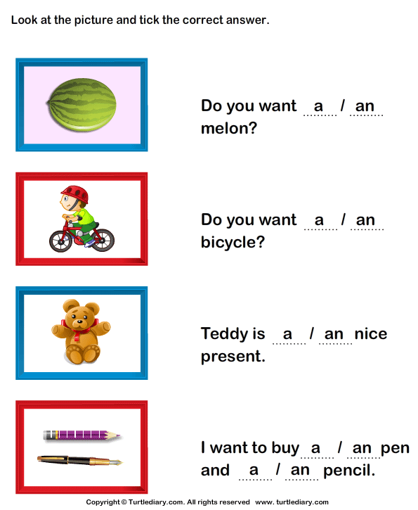 A And An Worksheet Turtle Diary