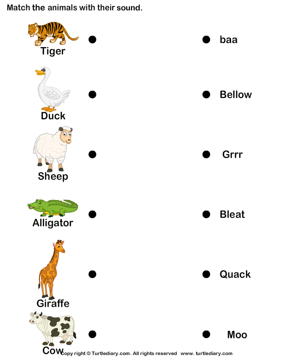 Animals And Sounds For Kids Turtle Diary Worksheet