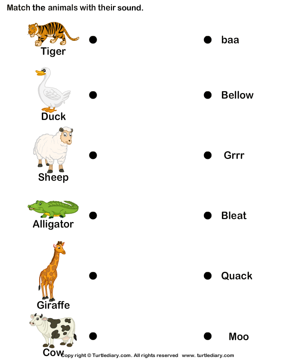 movement worksheet for kindergarten animal Worksheet Diary  and  for Kids Sounds Turtle Animals