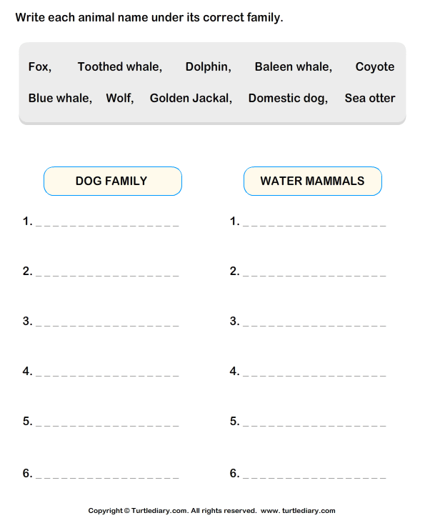 categorizing-animals-worksheet-turtle-diary