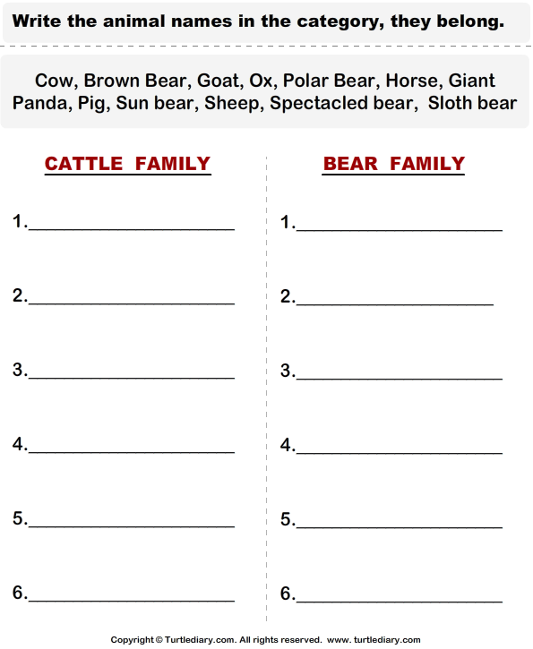 animal grade worksheet 1 Cattle Diary  Turtle Animals  Worksheet