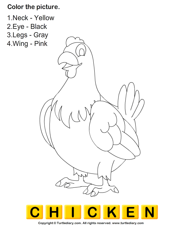 Activity Book Chuck Chicken Coloring Pages / Colouring And Activity