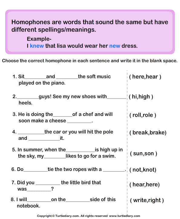 choose the correct homophone in each sentence turtle diary worksheet