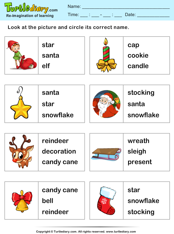 grade worksheet 1st english Vocabulary Christmas Turtle Words  Diary  Worksheet