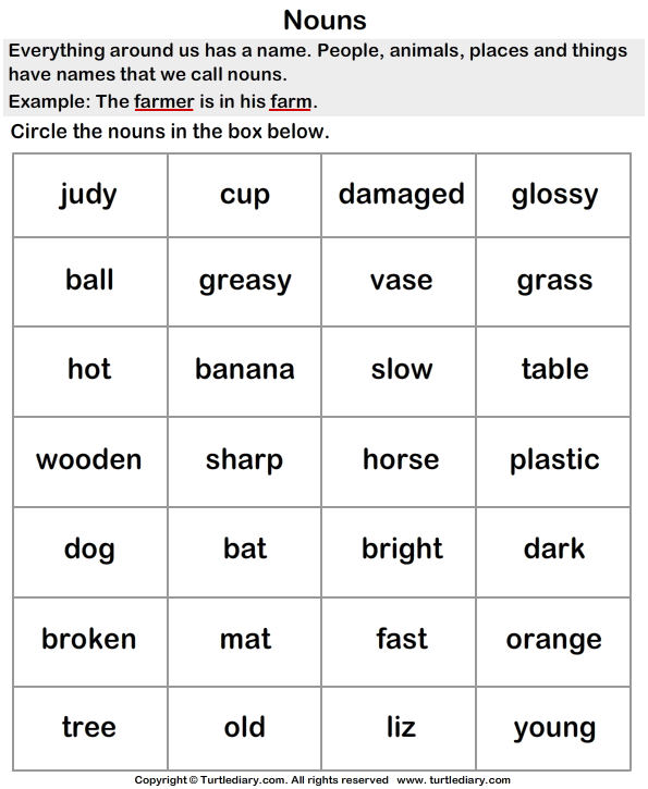 circle the words that are noun turtle diary worksheet