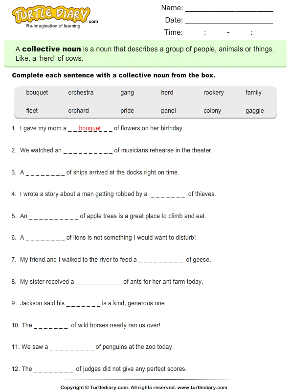 collective nouns worksheet turtle diary