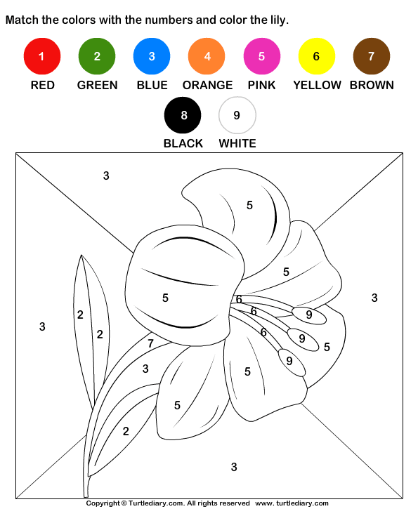 Color by Matching with Numbers Worksheet - Turtle Diary