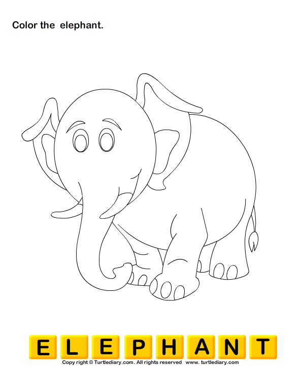 Color the Elephant Worksheet - Turtle Diary
