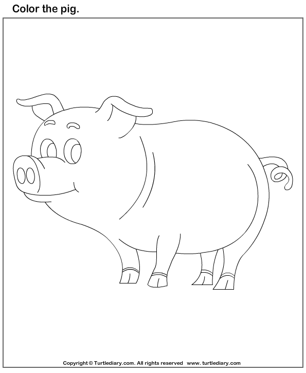 Color the Pig Worksheet - Turtle Diary