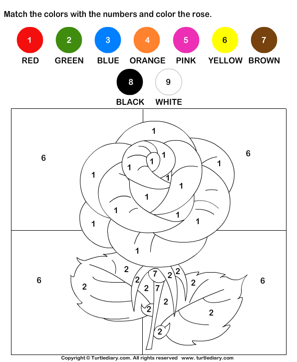 Color the Rose by Numbers Worksheet - Turtle Diary