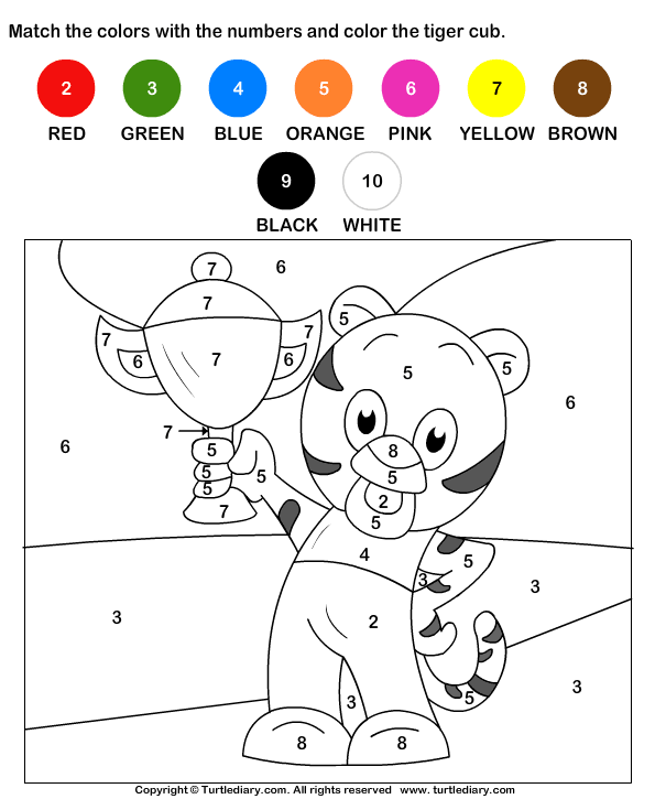 Color the Tiger Cub by Numbers Worksheet - Turtle Diary