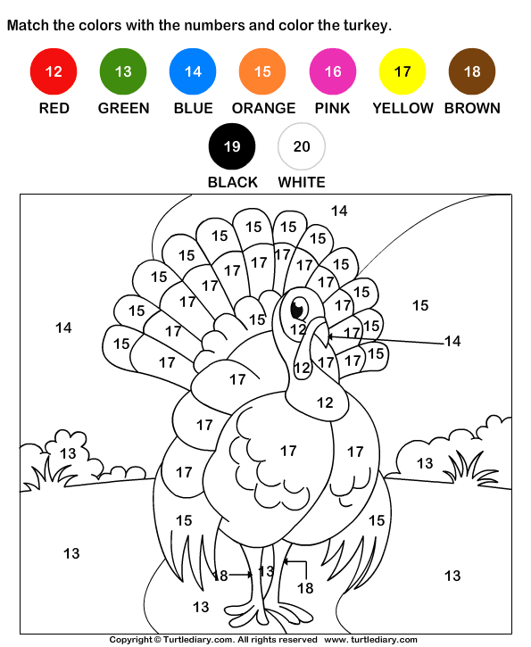 Color the Turkey by Numbers Worksheet Turtle Diary