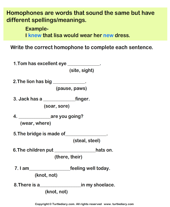 complete the sentence with the correct homophone turtle diary worksheet