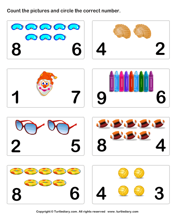 Count And Choose The Number Turtle Diary Worksheet