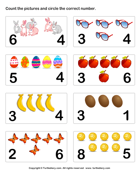 Count And Identify Number Of Objects Turtle Diary Worksheet
