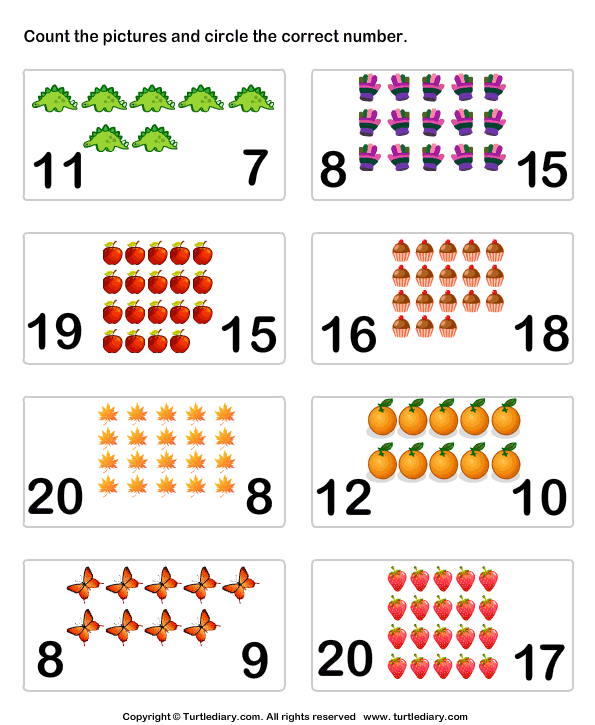 count-pictures-up-to-twenty-turtle-diary-worksheet