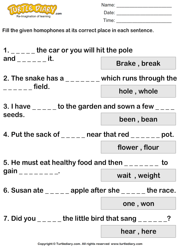 determining correct homophone worksheet turtle diary