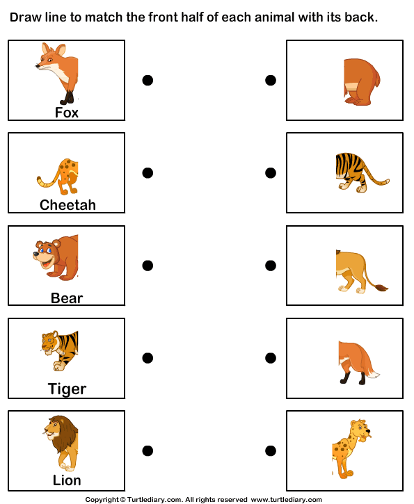 Animals Body Parts Matching Worksheet