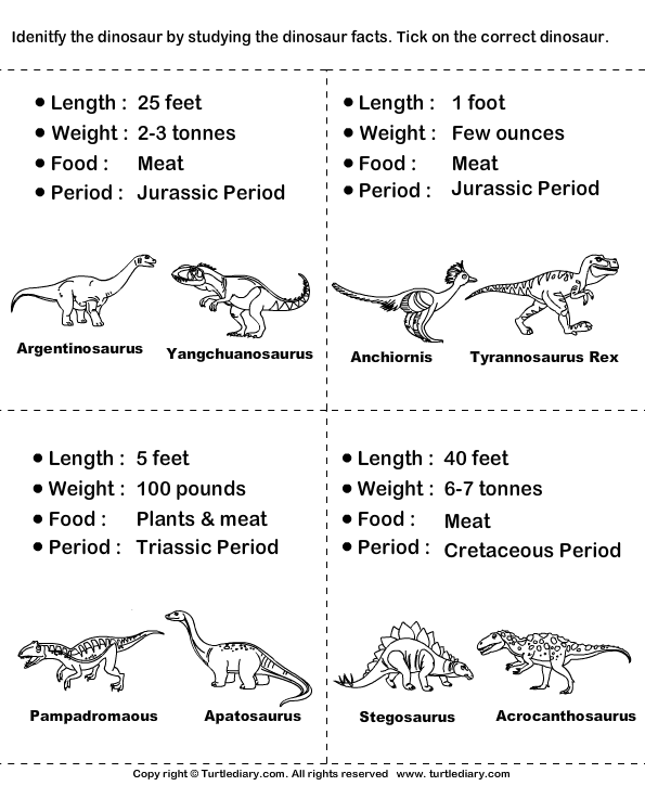 dinosaurs pictures and names worksheet turtle diary