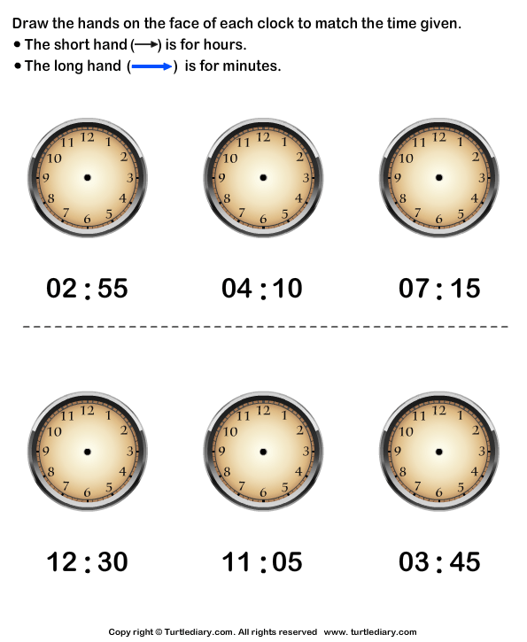 draw missing hands of clock turtle diary worksheet