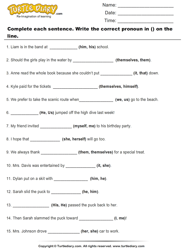 question blank sheet Turtle Fill Suitable Blanks with Pronoun  Diary Worksheet