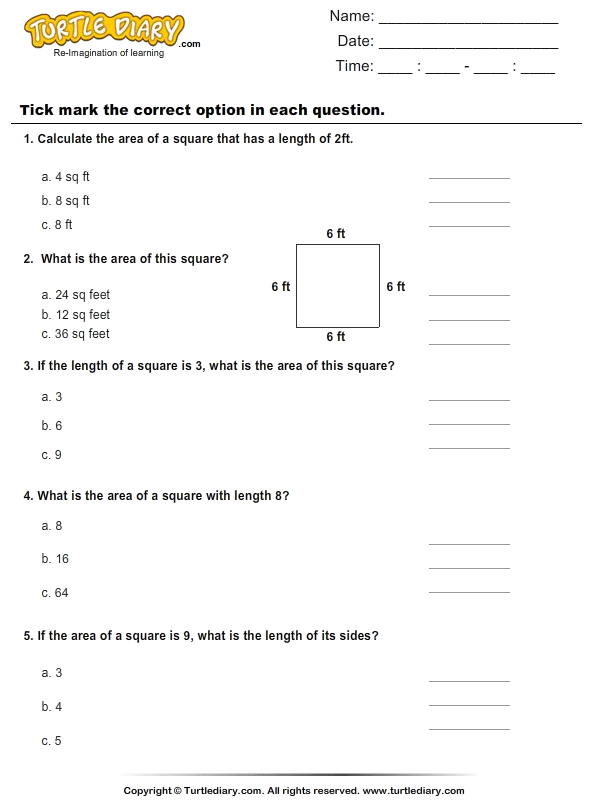 1 measurement for worksheet grade math Turtle Area  Diary  Worksheet Squares of Find