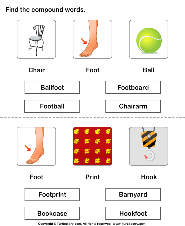 1 grade worksheets compound free for the Worksheet Compound Diary Word Turtle  Correct  Find