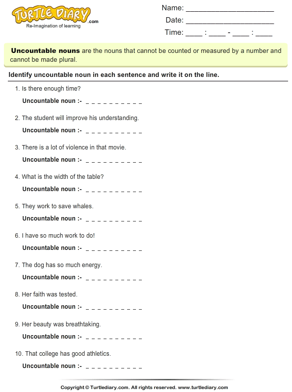 find the uncountable noun in a sentence turtle diary worksheet