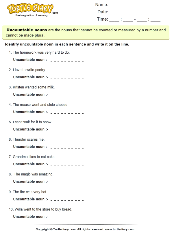 find the word that is uncountable noun turtle diary worksheet