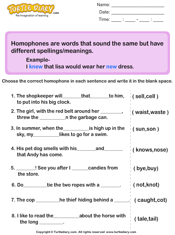in 1 english worksheets free grade Turtle Worksheet the in Finding  homophones Diary Sentences