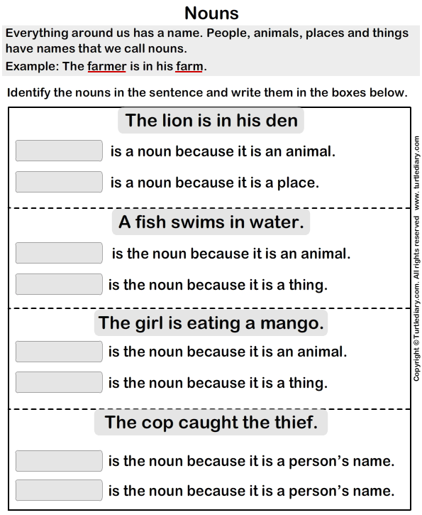 Identifying Types Of Nouns Worksheet