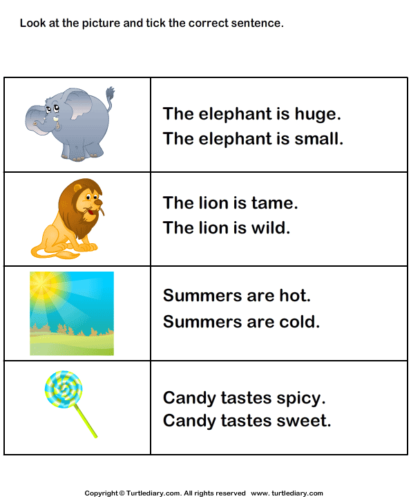 Choose the sentences which are correct. Tick the correct sentences. Sentence Corrector. Choose the correct adjective. Tick the correct Word.