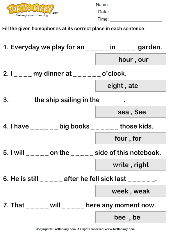 homophone complete the sentence worksheet turtle diary