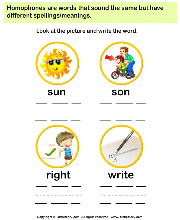 homophone picture identification worksheet turtle diary