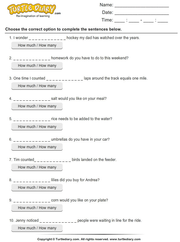 How Much Vs How Many Worksheet Turtle Diary