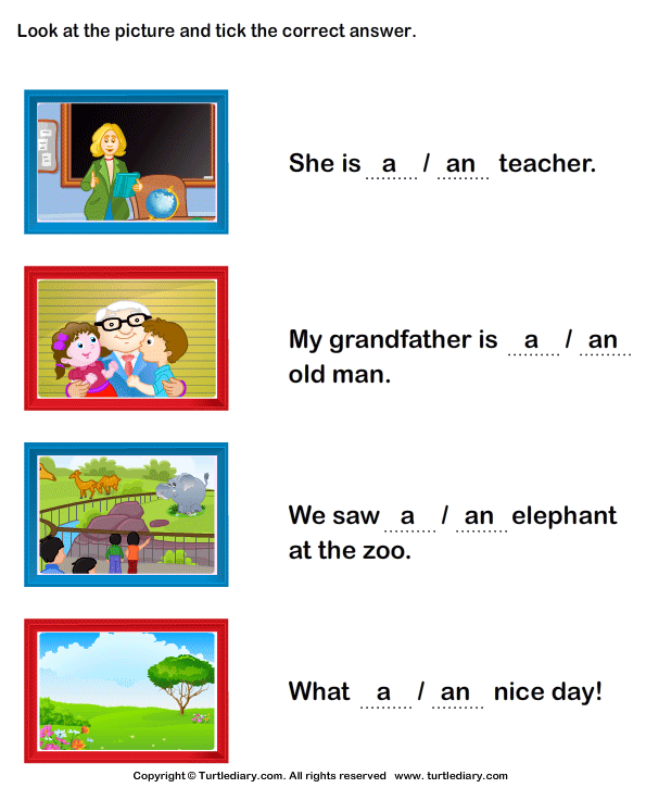 Identify A Or An To Complete The Sentence Worksheet Turtle Diary