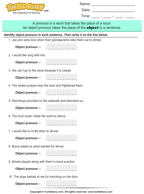printable grade 4th worksheet Pronouns and Turtle Identify Worksheet  Write  Object Diary